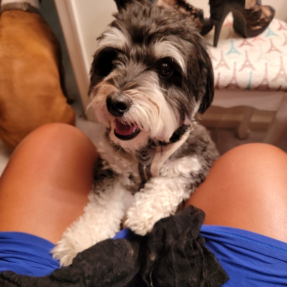 Meet your Posher, Latoya - Picture 7 of 15